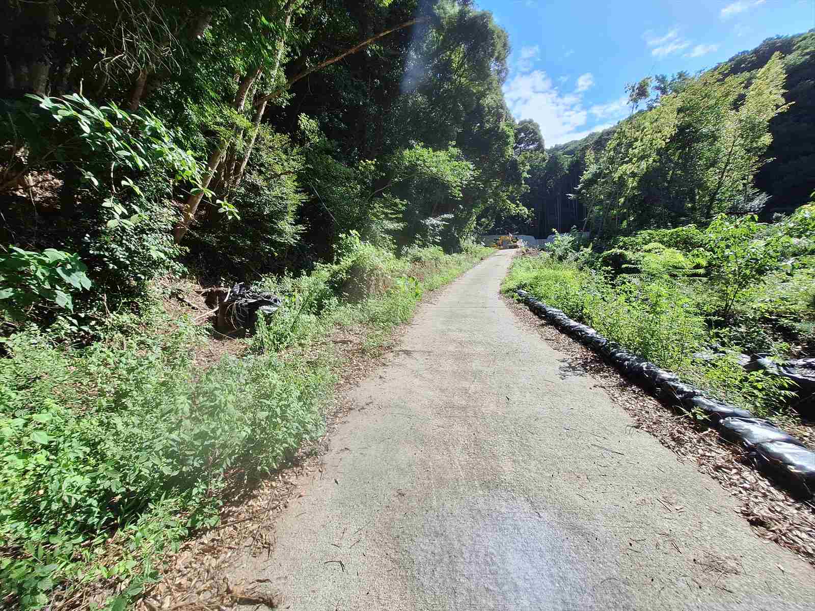 治山ダム_白木進捗