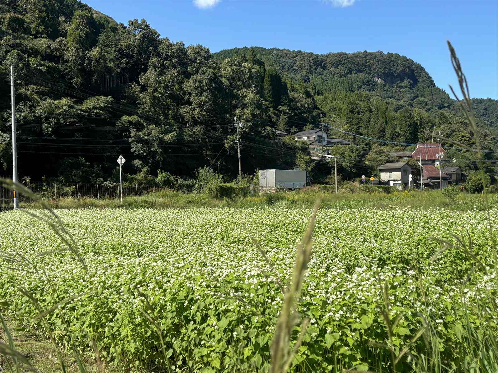 山国_現地確認&見学