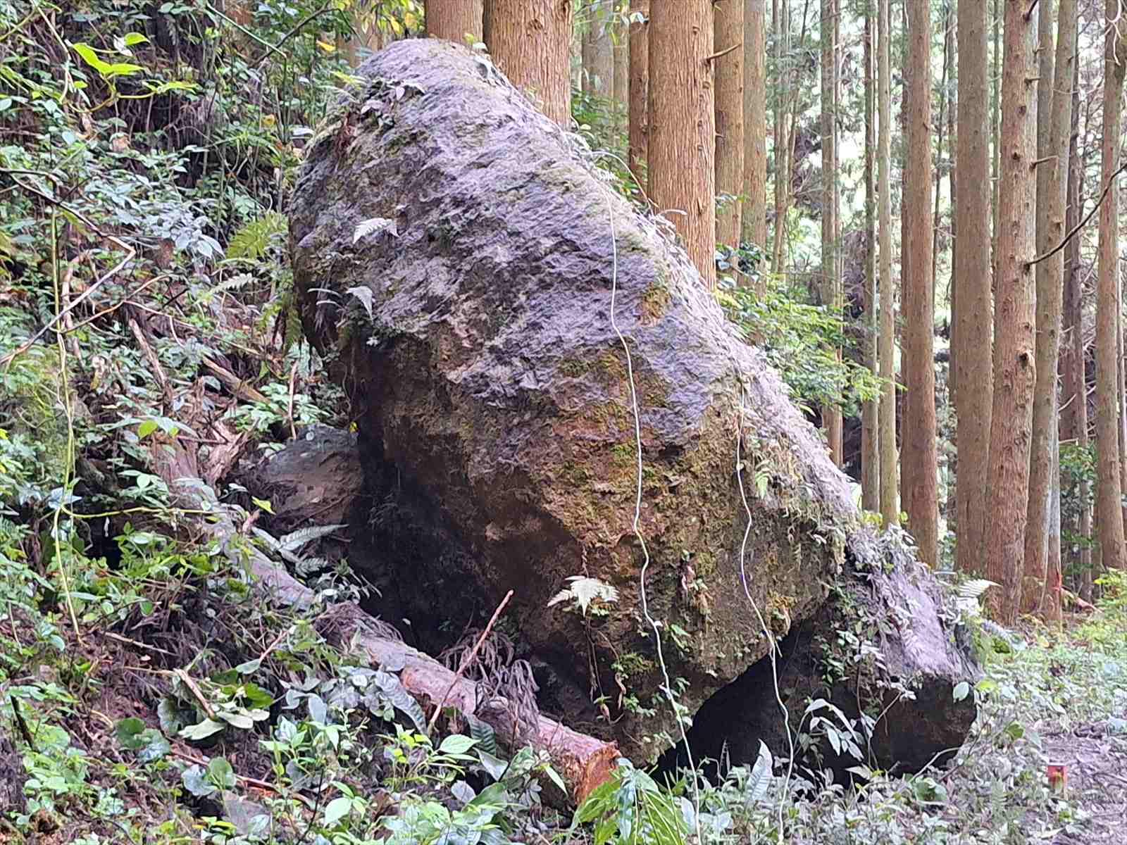 世利川井路_水路工事（発破の日②）